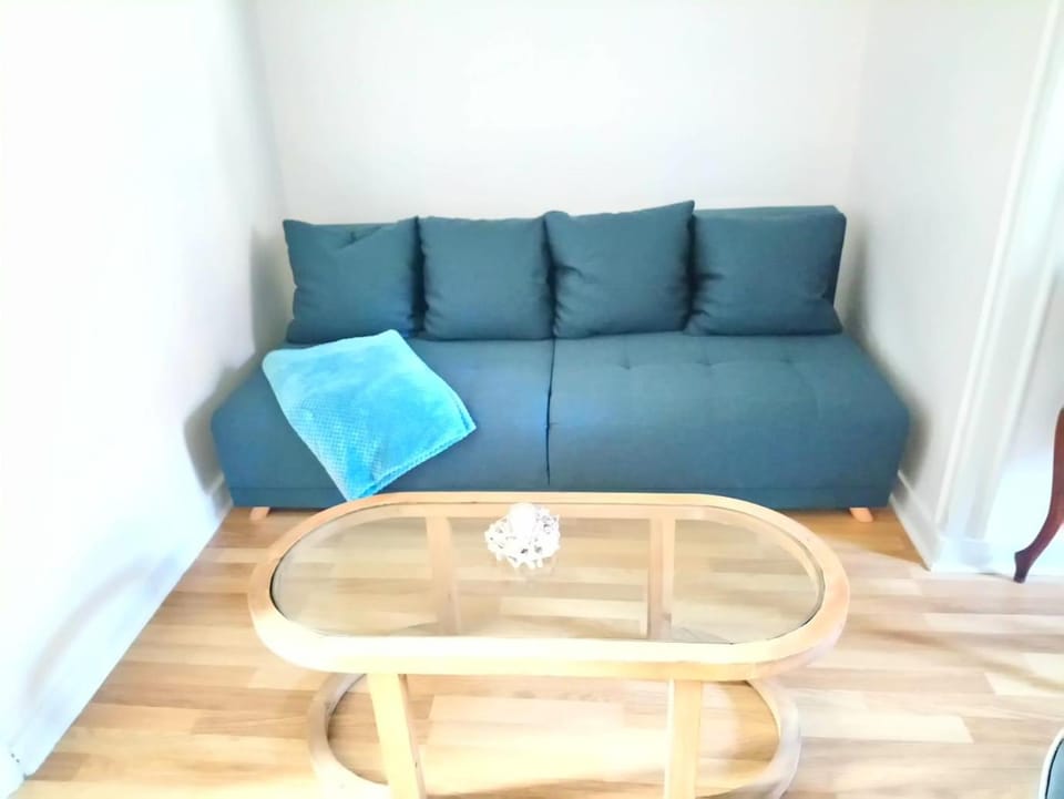 GITE LE SAINT-AMOUR Apartment in Jura