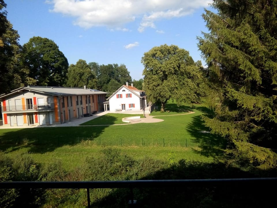 Neighbourhood, Garden view