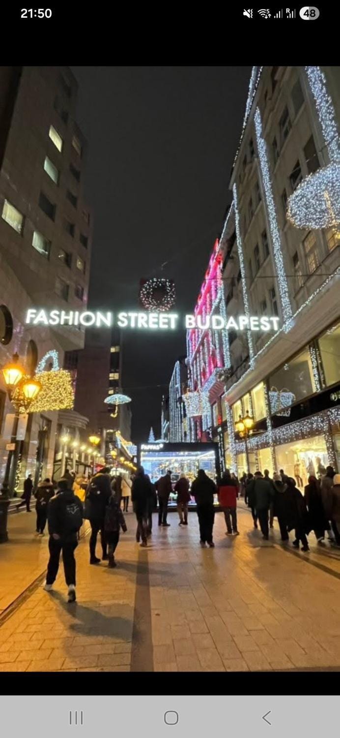 Fashion Street Budapest Apartment in Budapest