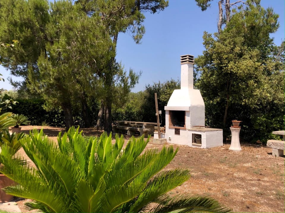 Property building, Natural landscape, Activities, BBQ facilities, BBQ facilities, Garden, Area and facilities