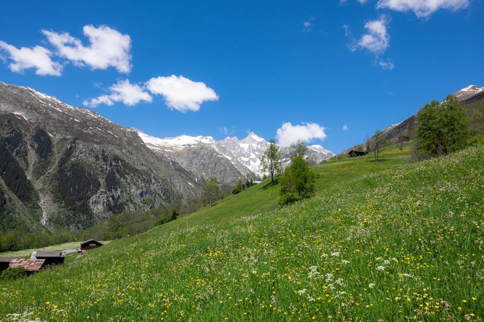 Chalet Orion Apartment in Canton of Valais