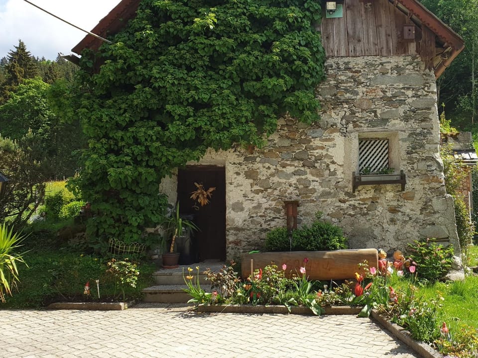 Mühlnerhof Familie Gruber Bed and Breakfast in Schladming