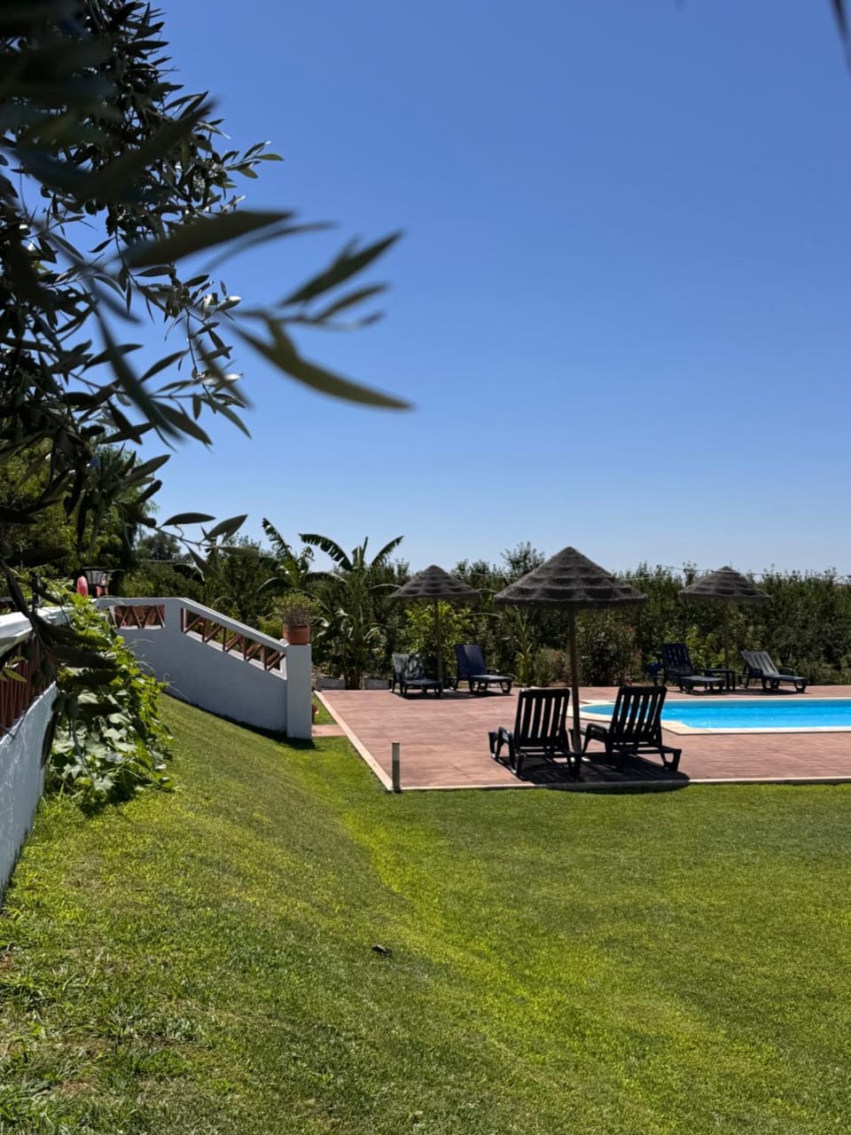 Garden, Pool view, Swimming pool