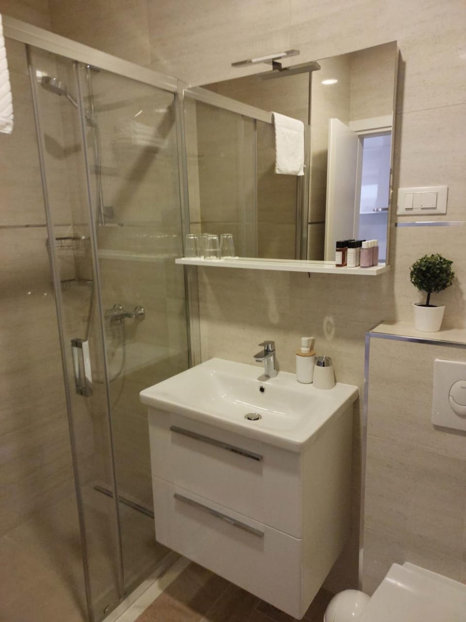 Shower, Toilet, towels