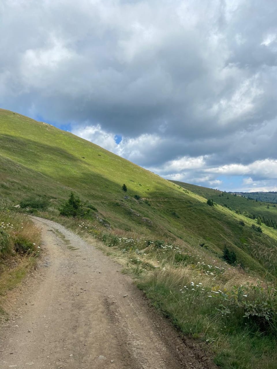 Hiking