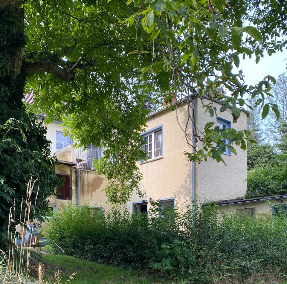 Property building, Garden view