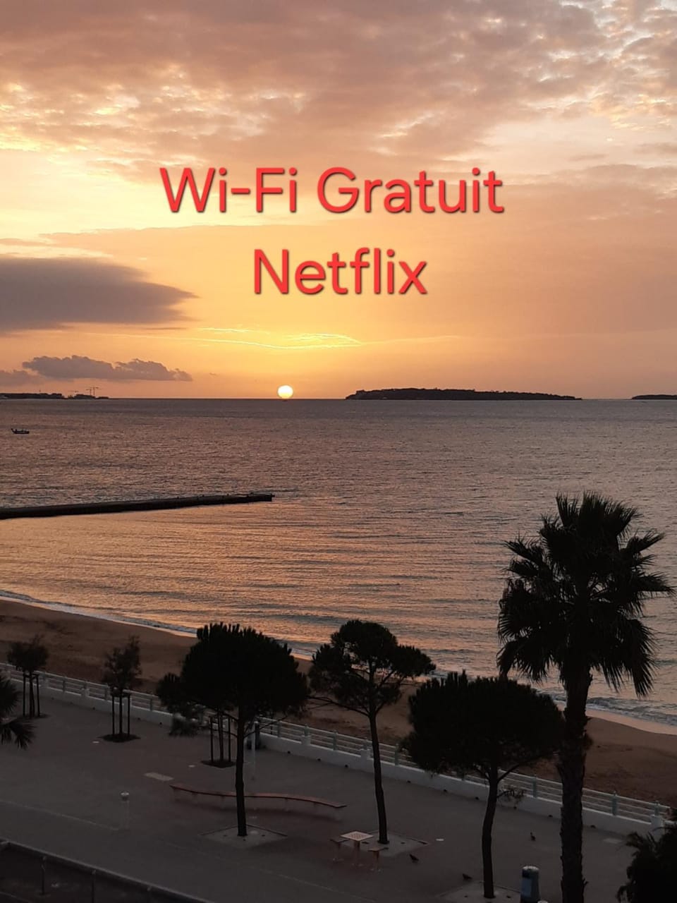 Great Waterfront Apartment In Cannes BoccaCabana Apartment in Cannes