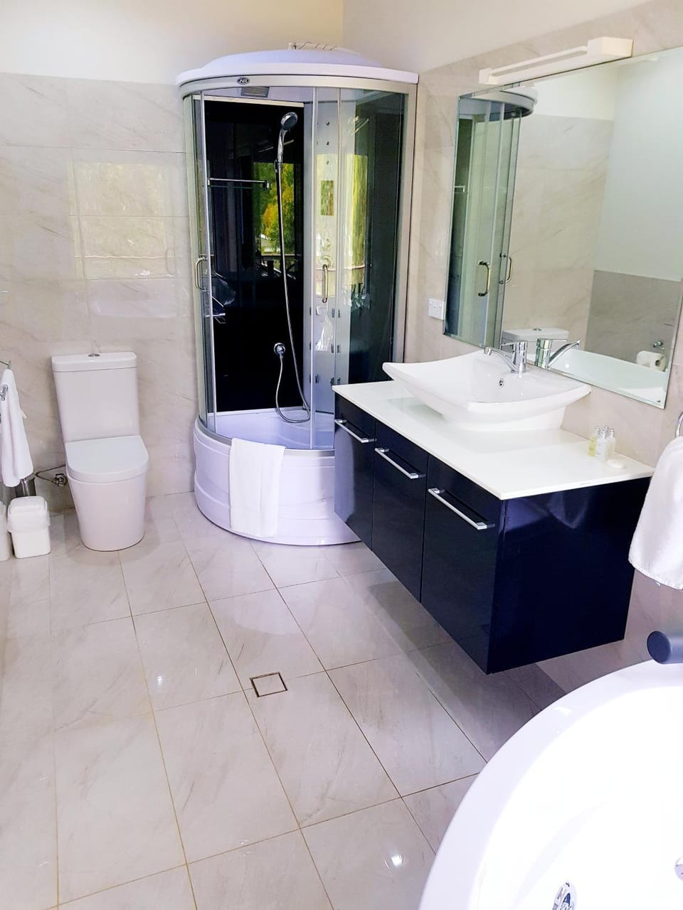 Shower, Toilet, Bathroom