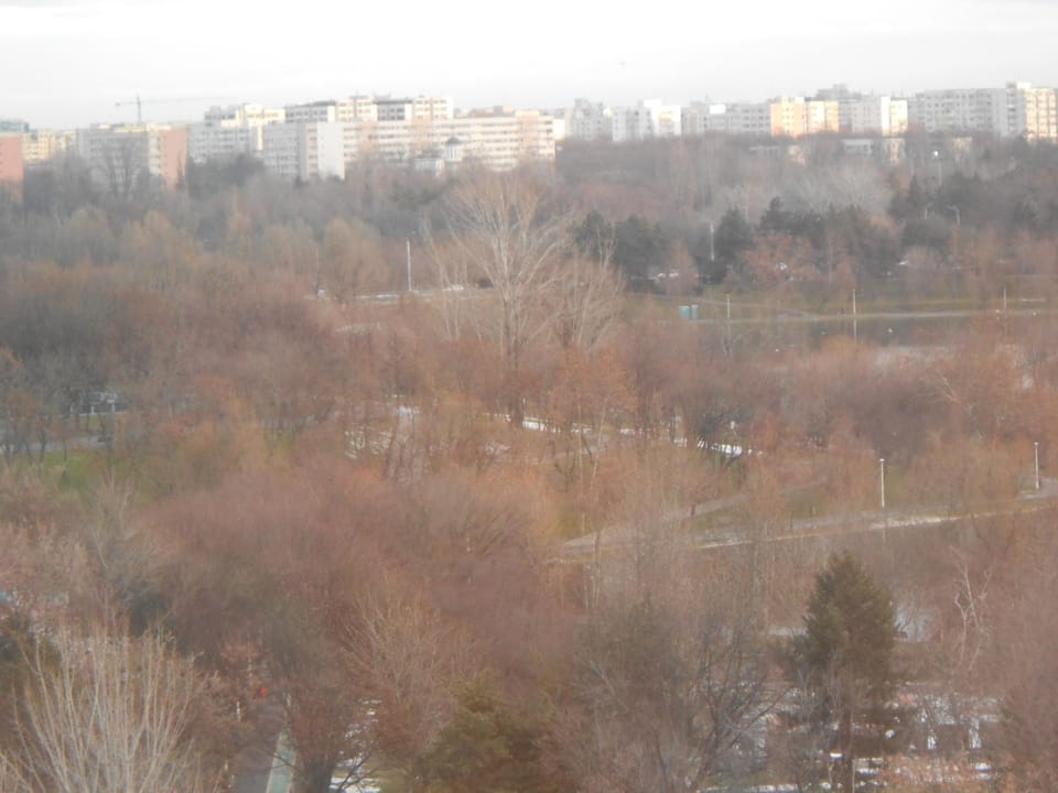 Property building, Natural landscape