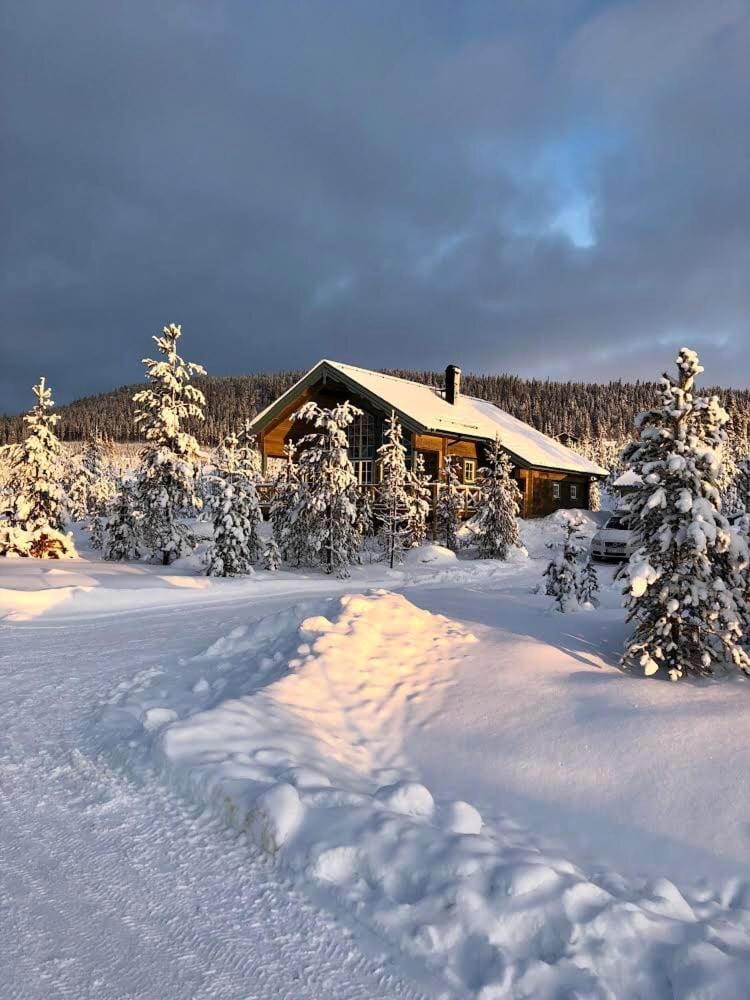 Property building, Winter