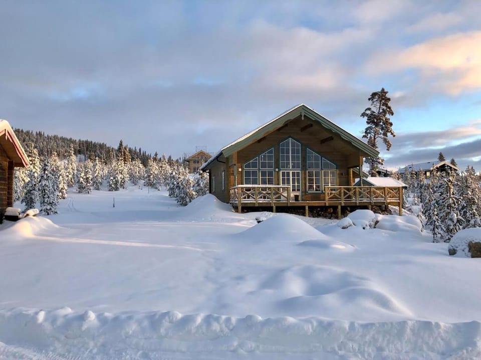 Property building, Winter, Ski School, Skiing, Hiking, Cycling, Sports