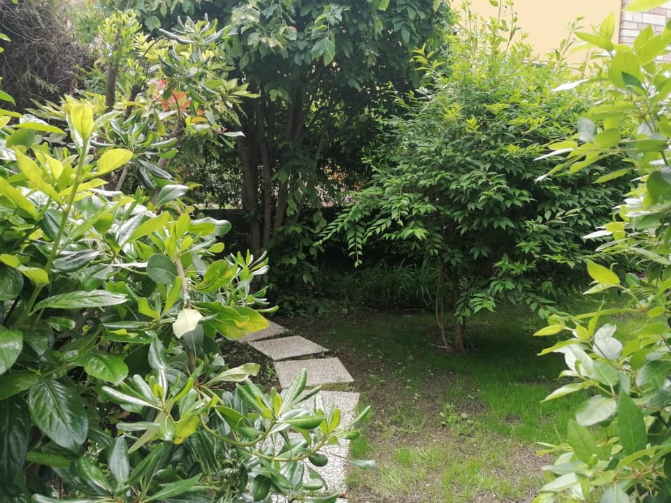 Garden, Garden view
