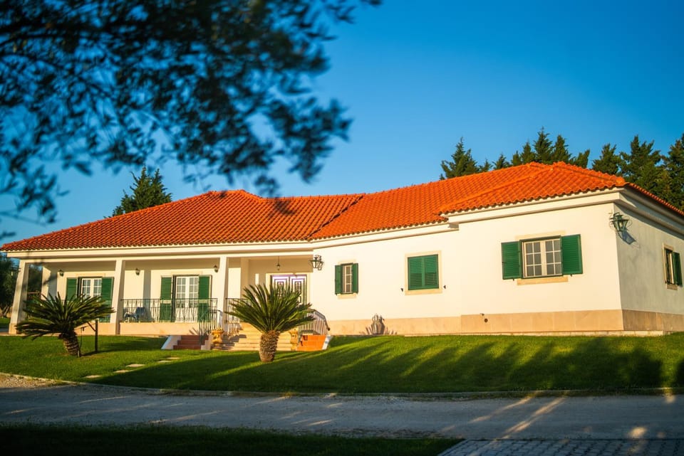Property building, Garden, Garden view
