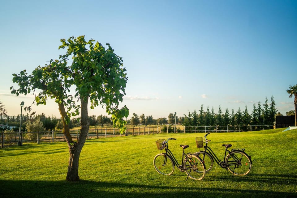 Natural landscape, Cycling
