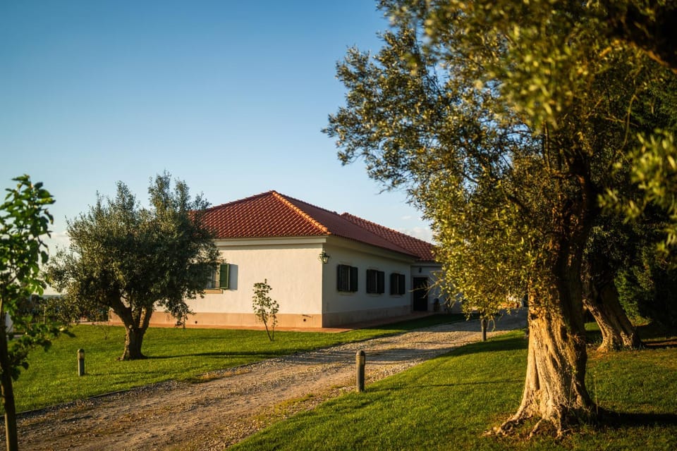 Property building, Natural landscape, Garden, Garden view