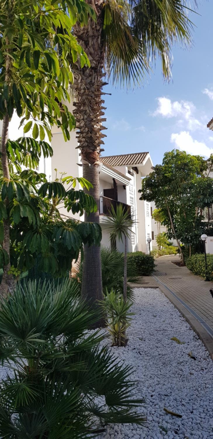 Garden view