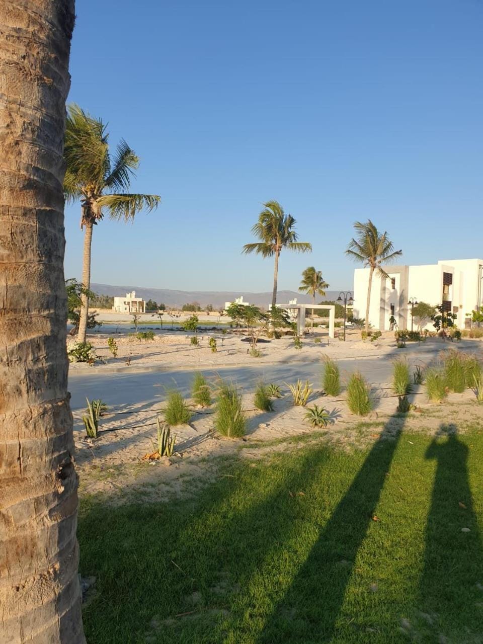 Property building, Neighbourhood, Garden