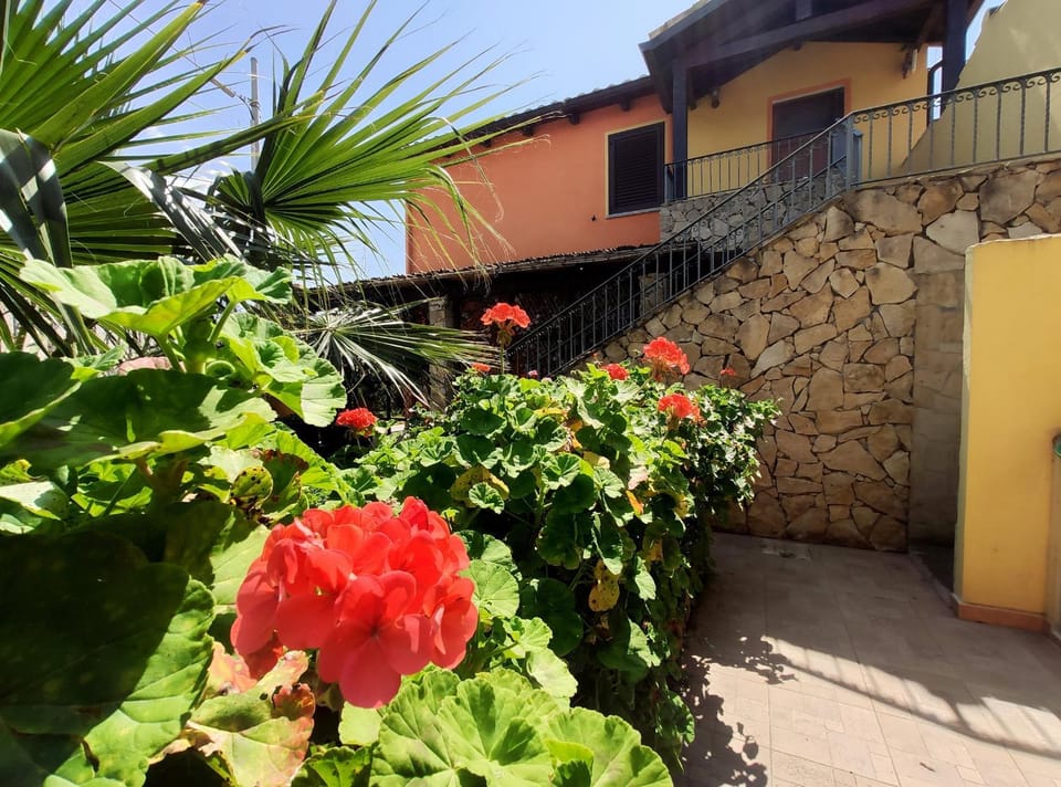 Property building, Facade/entrance, Garden