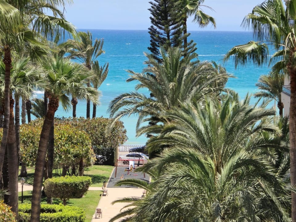 Garden, Sea view