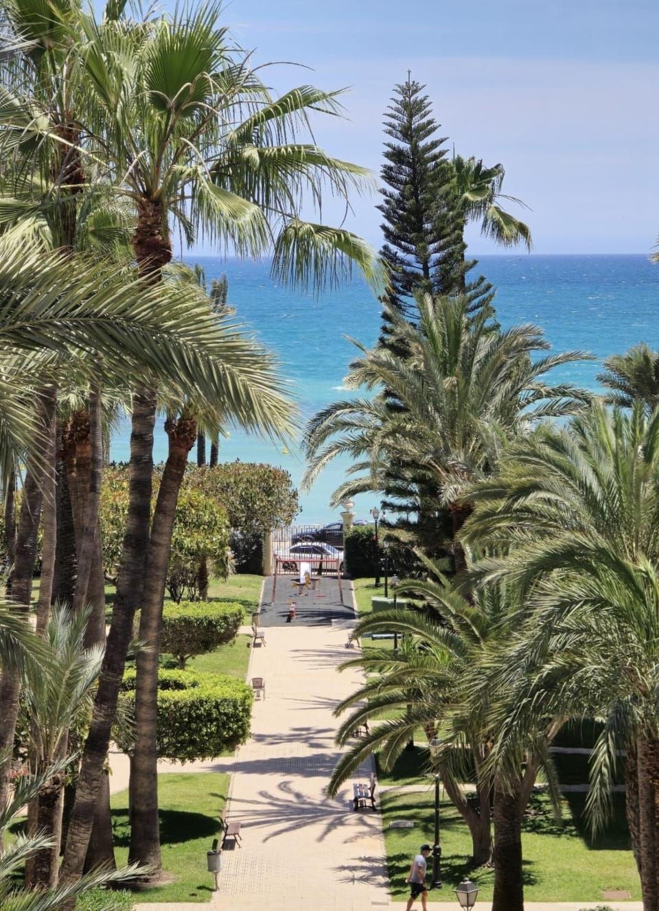 Garden, Sea view