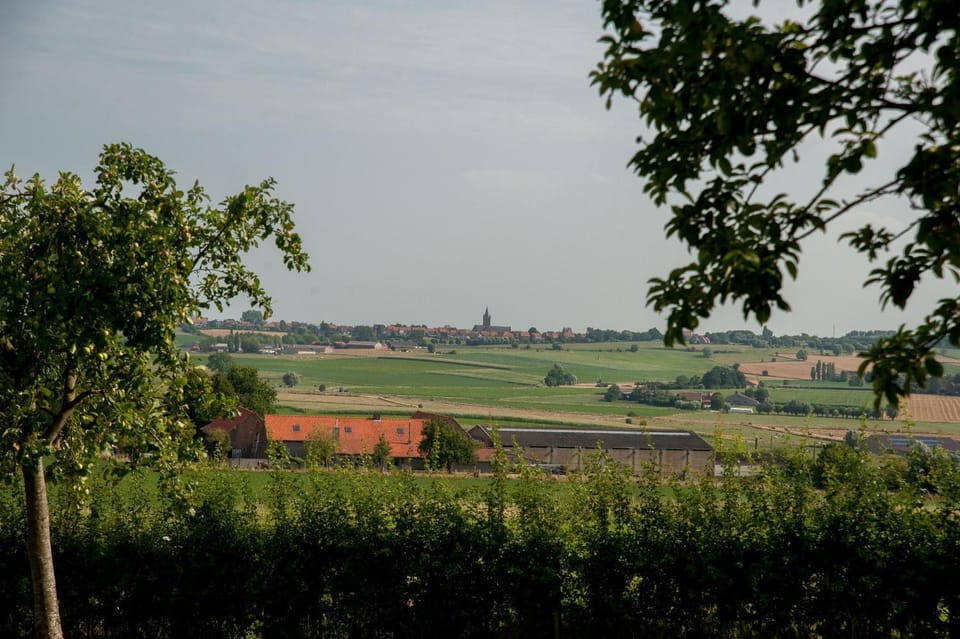 Natural landscape, Garden, Hiking, Garden view