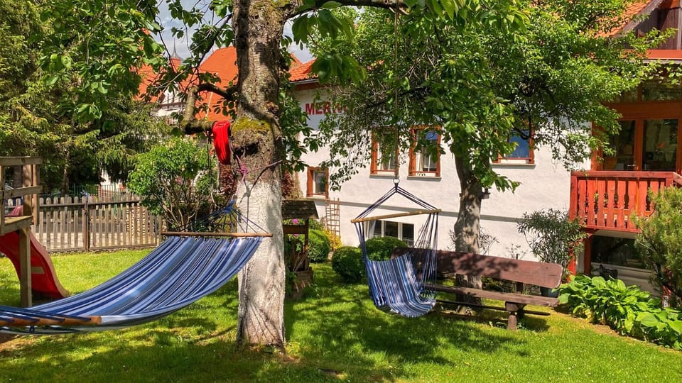 Garden, Garden view, sunbed