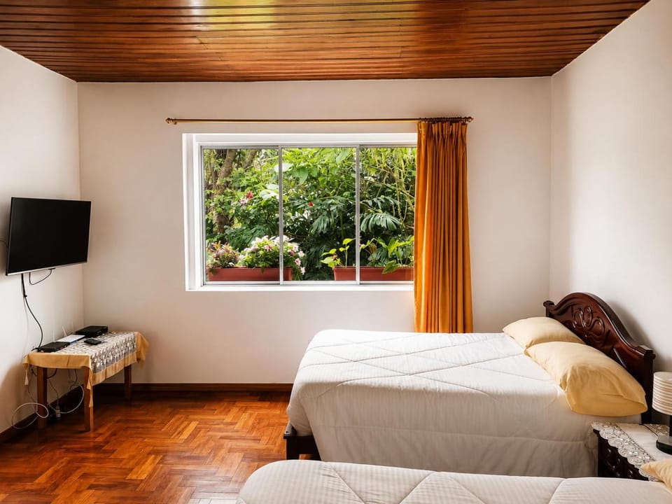 Bed, TV and multimedia, Photo of the whole room, Bedroom