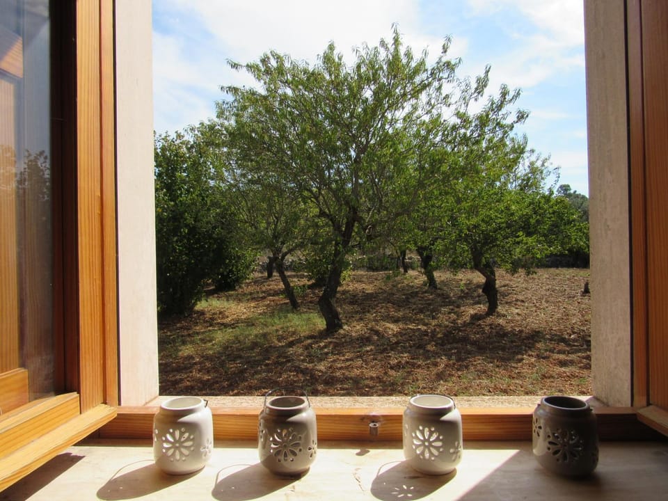 Property building, Garden, Garden view