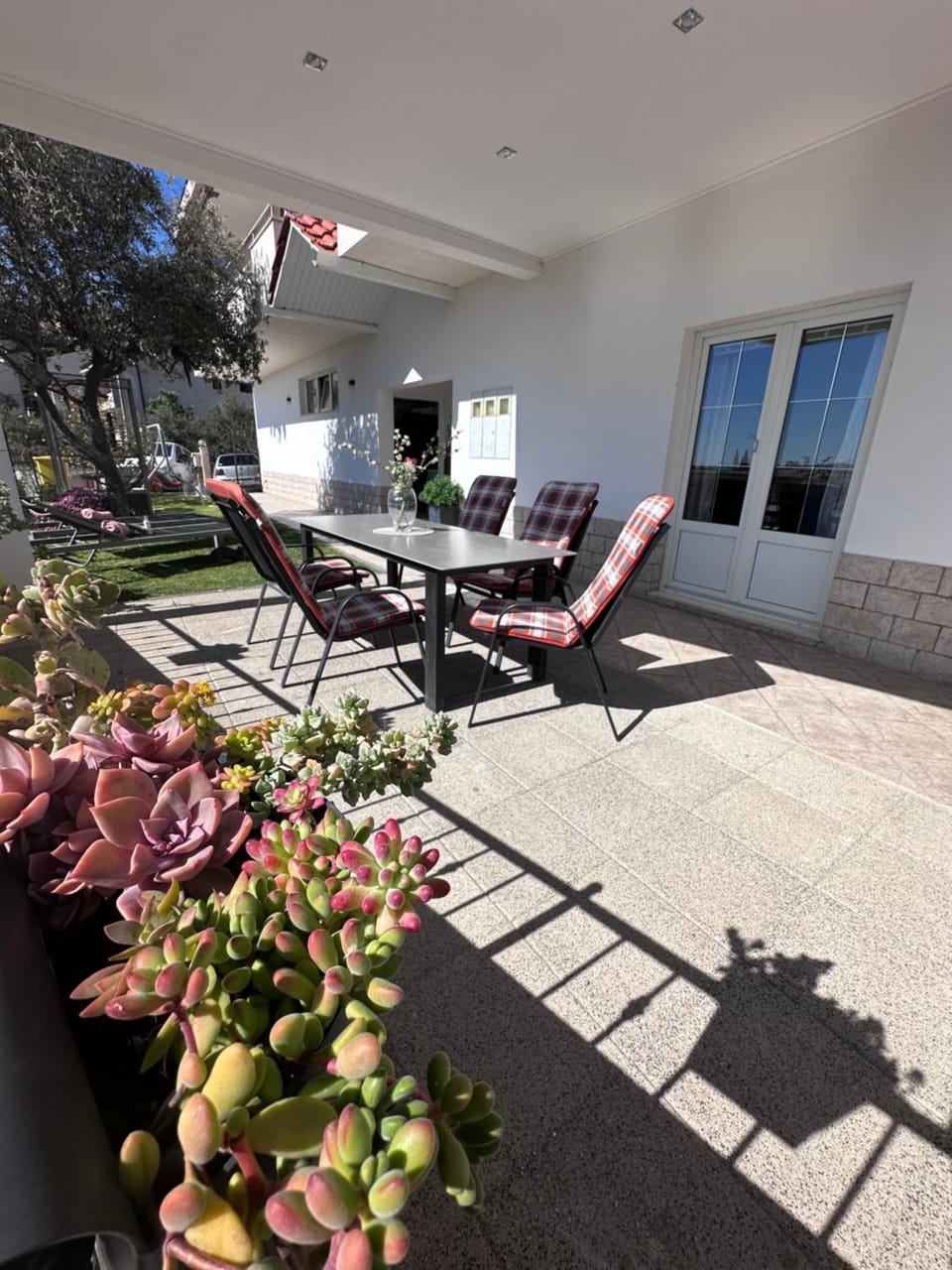 Patio, Day, Garden, Garden view, sunbed