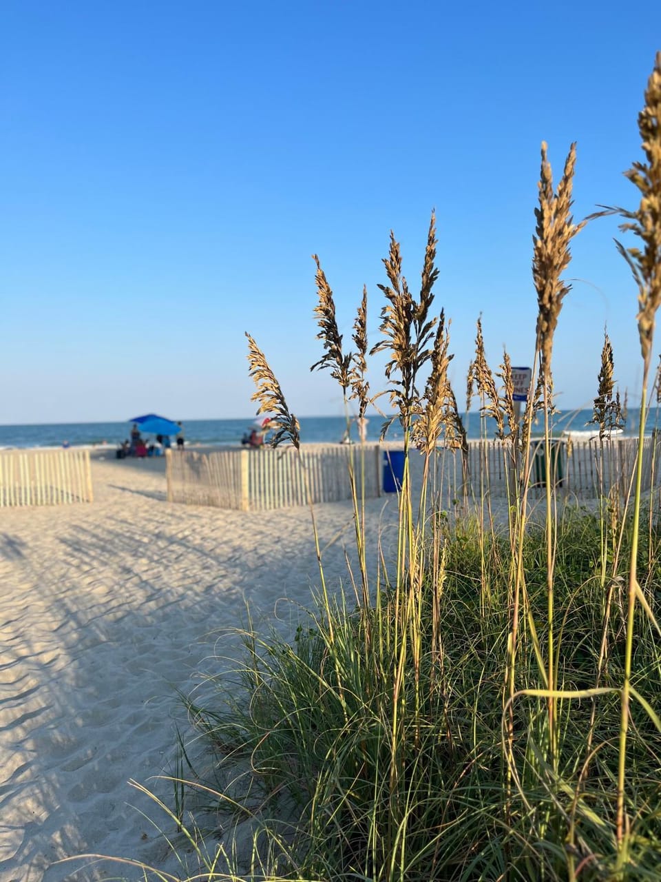 Ocean Dream Vacation Apartment hotel in Myrtle Beach