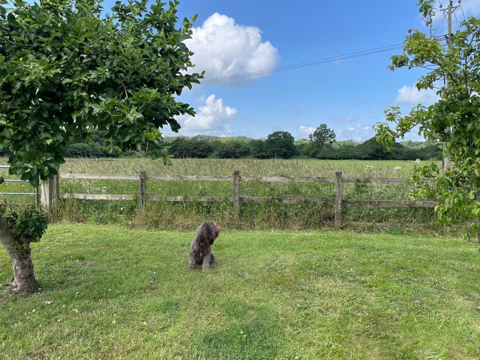 Swallows Retreat House in East Dorset District