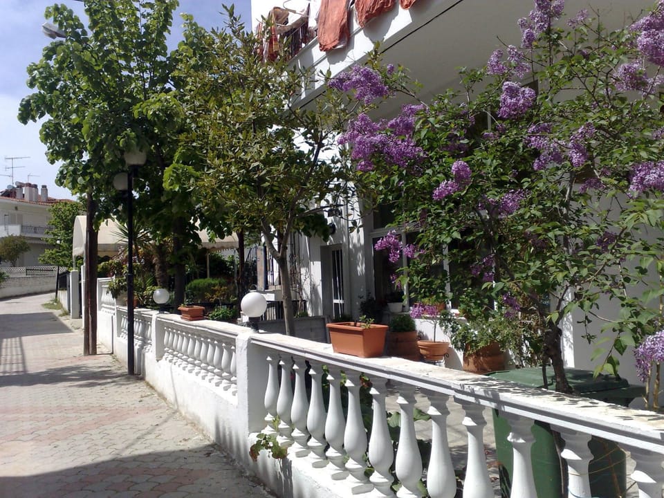 Lena Studios in Apartment in Chaniotis