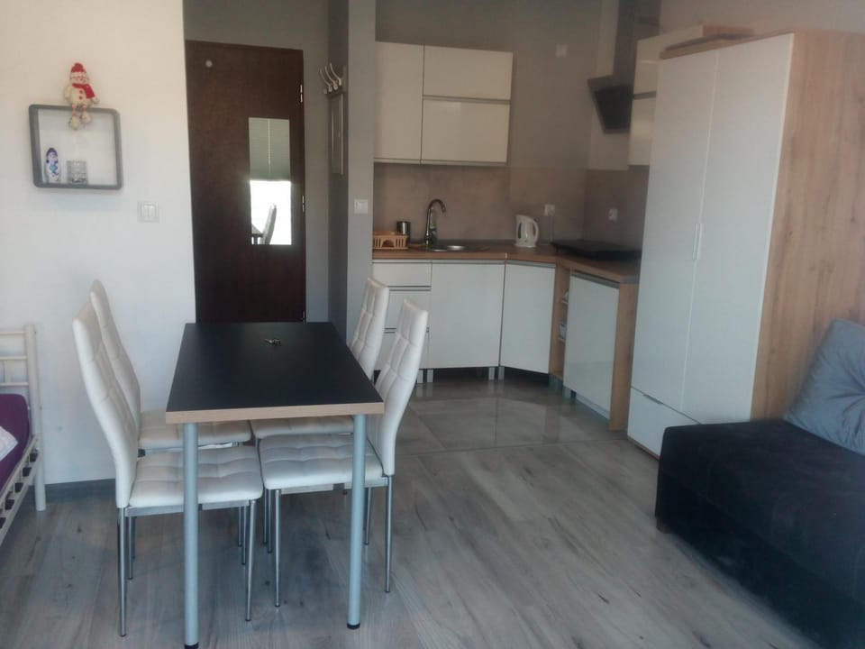 Apartament Kapitana przy plazy typu studio Apartment in West Pomeranian Voivodeship, Poland