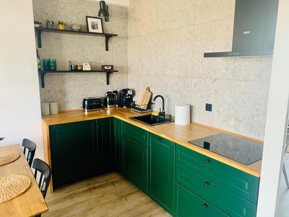 Green Apartment Apartment in Lithuania