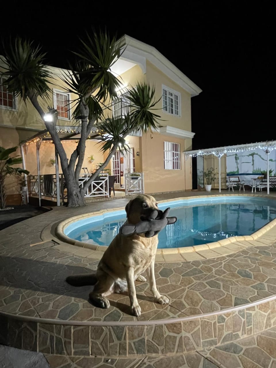 Villa kartner Apartment in Rivière Noire District, Mauritius