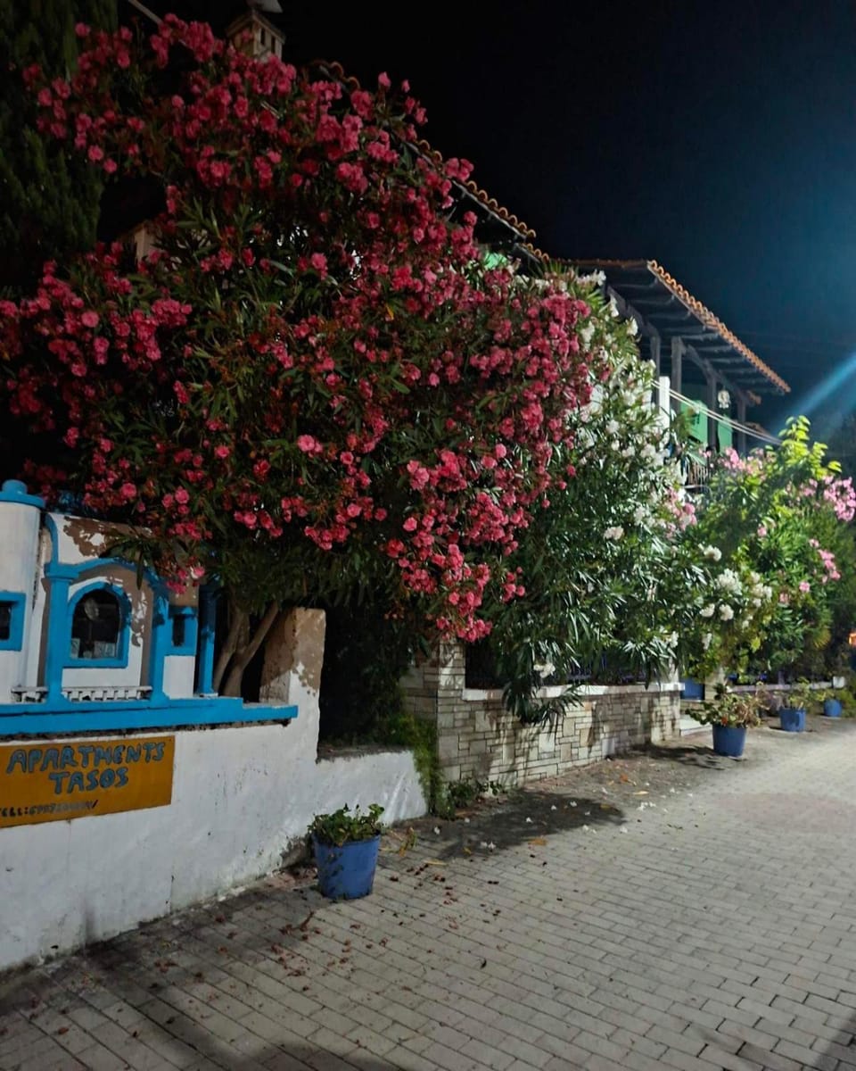 Tassos 2 Apartment hotel in Halkidiki
