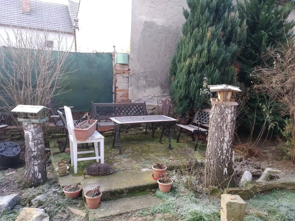 Patio, BBQ facilities
