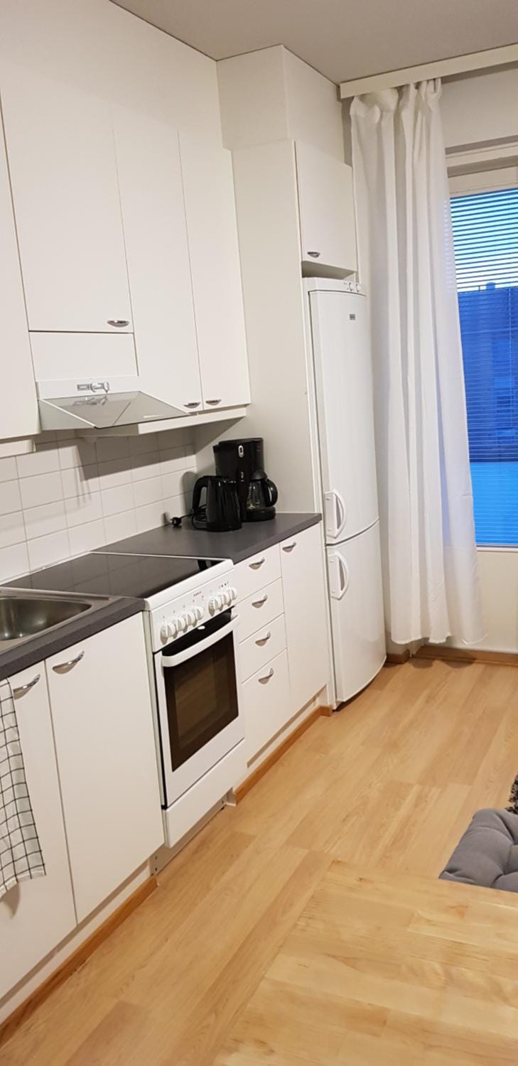 Apartment in City - Antinkatu Apartment in Finland