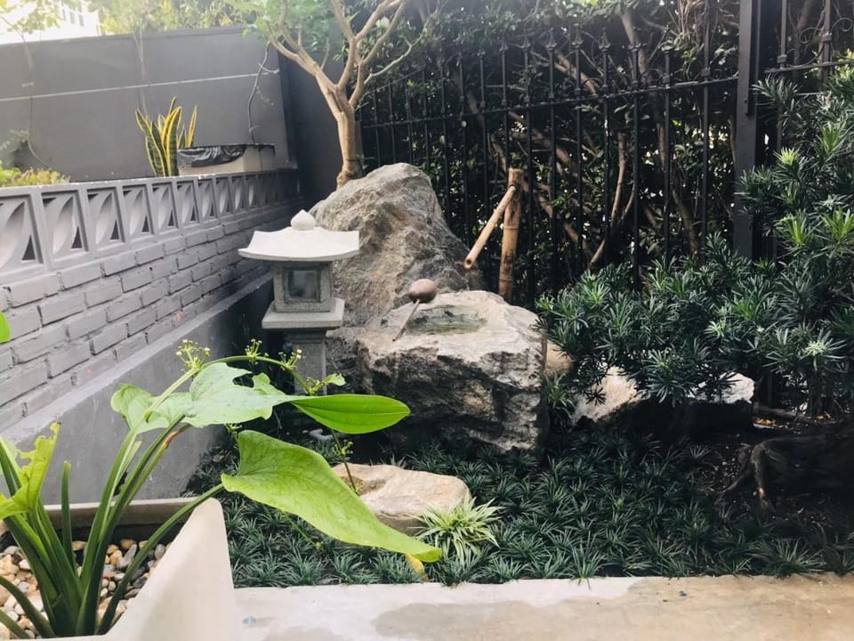 Patio, Garden