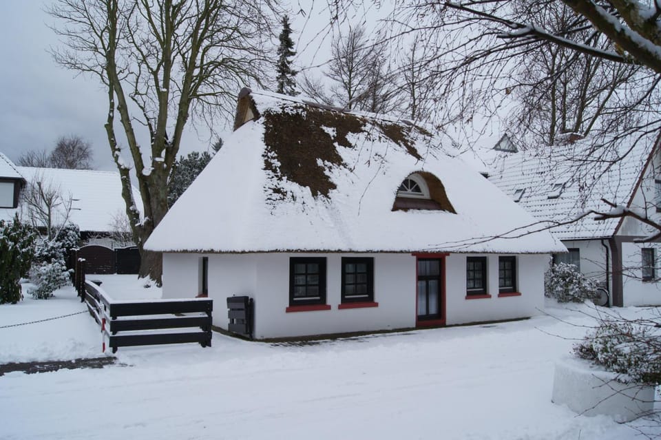 Property building, Winter