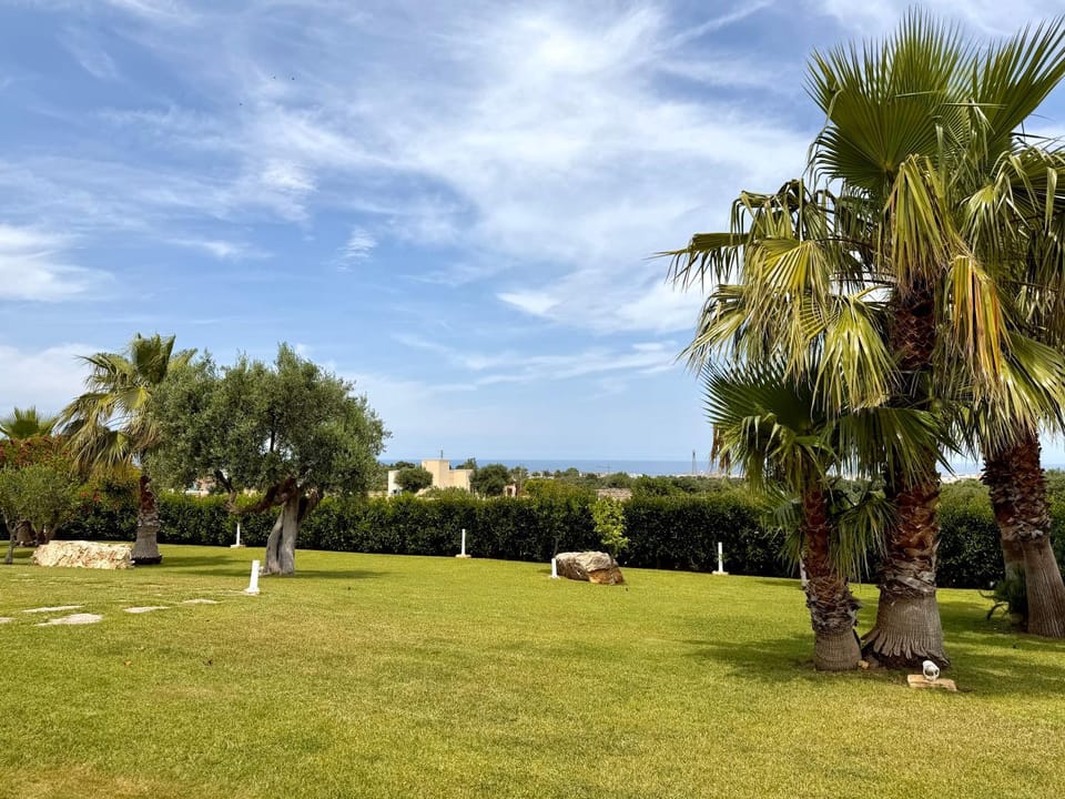 Day, Natural landscape, Garden view