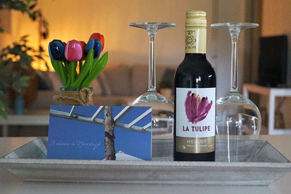 Have a nice stay! - Souterrain The Freesia Apartment in Noordwijk