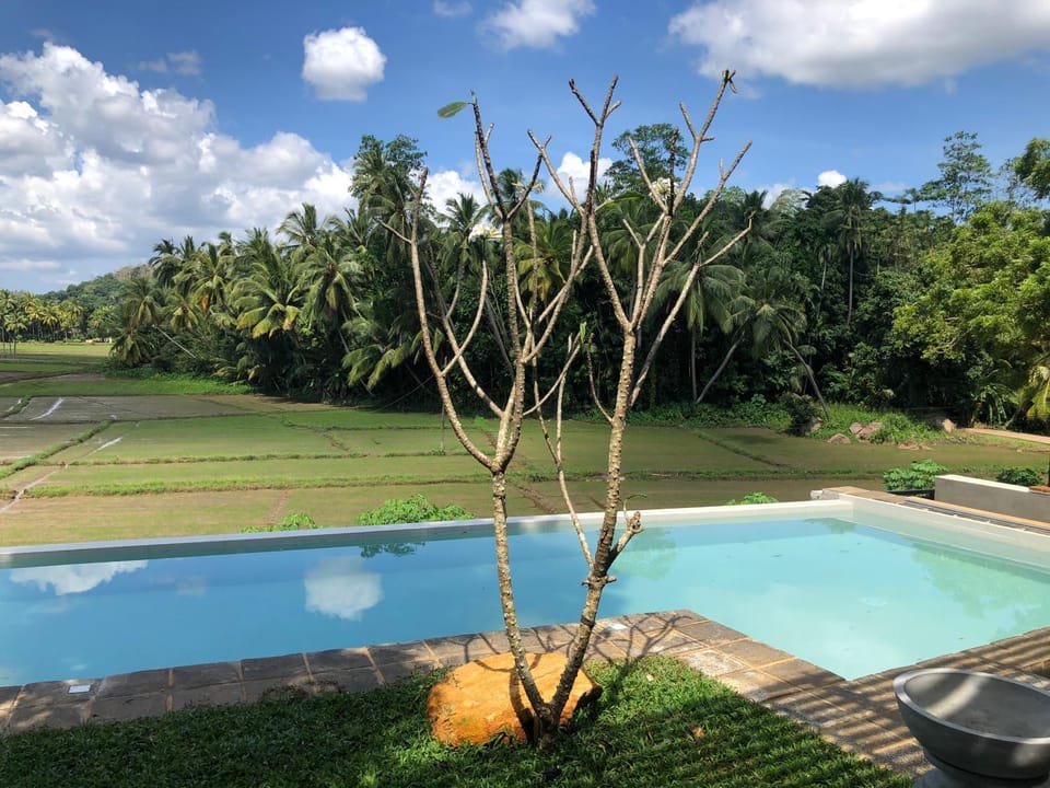 Pool view
