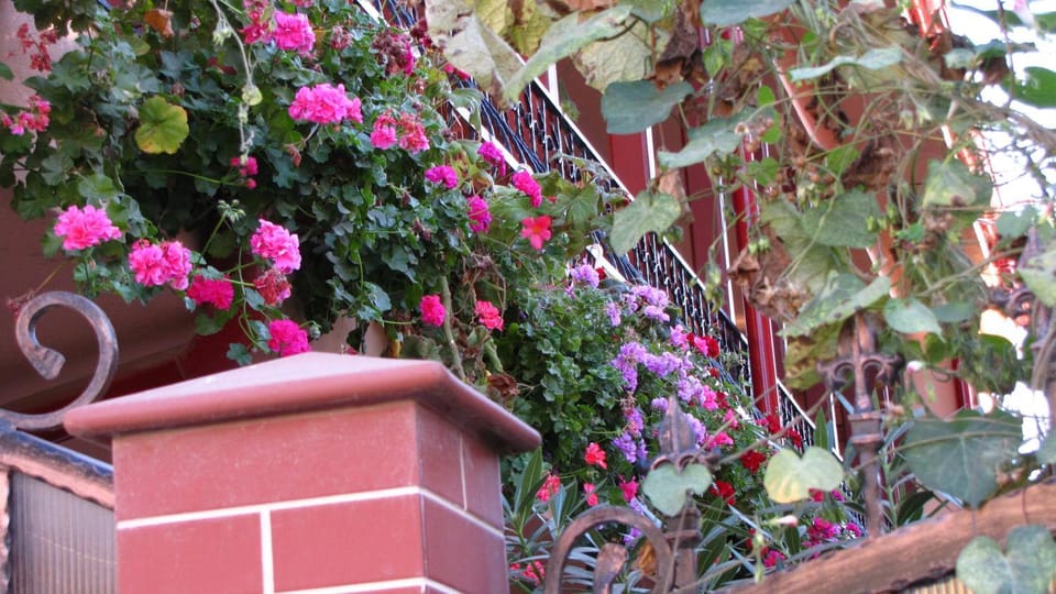 Decorative detail