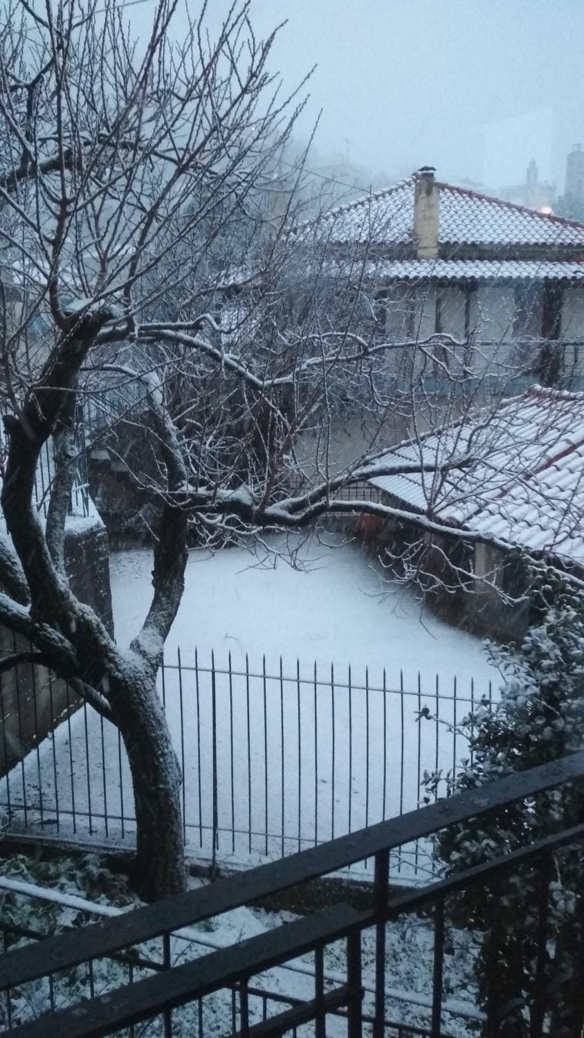 Winter