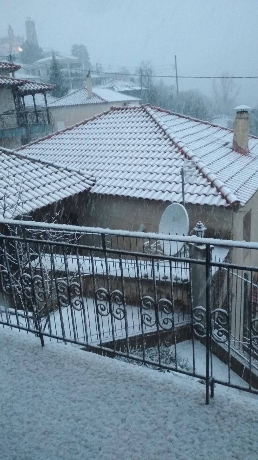 Winter