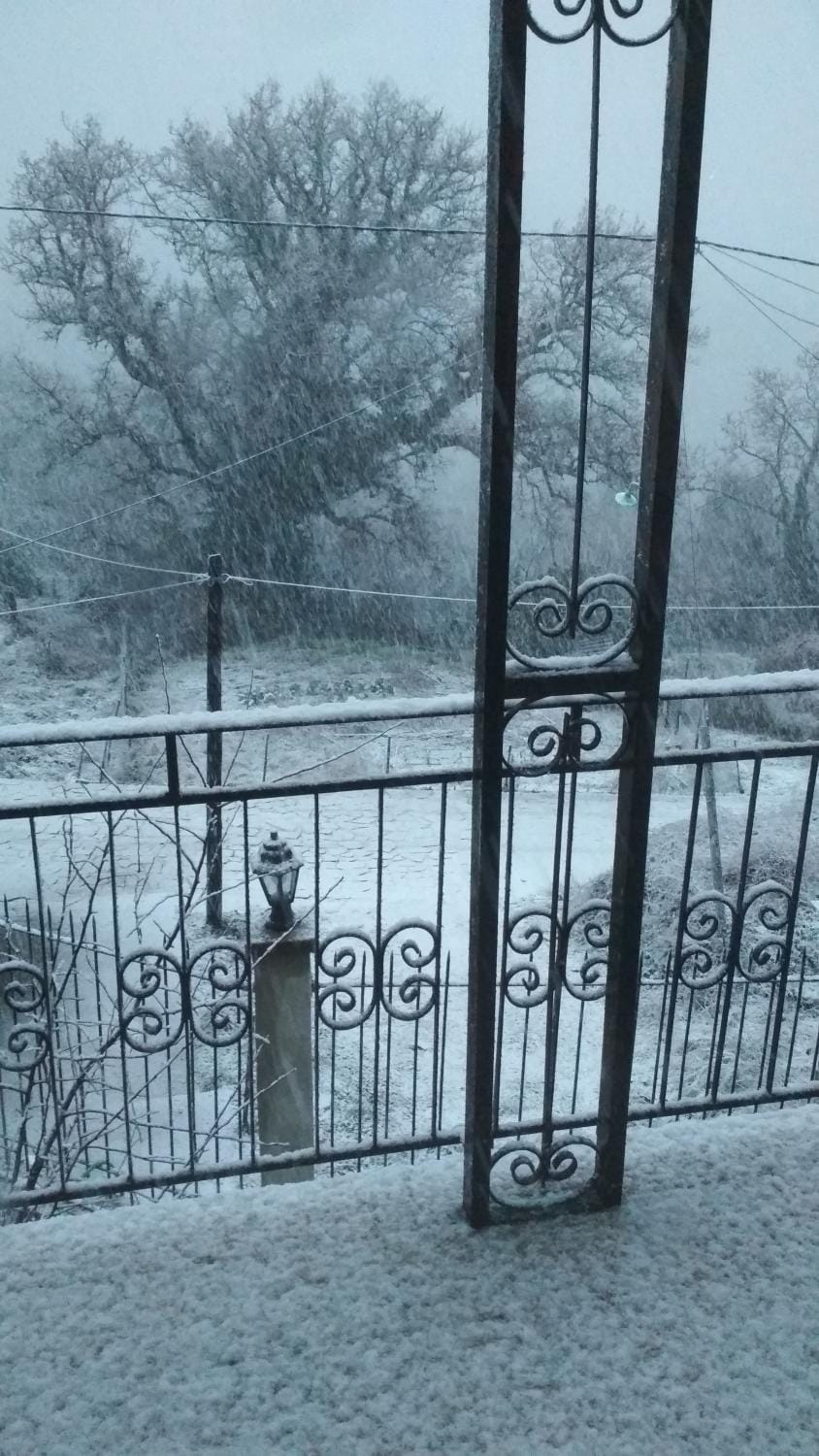 Winter