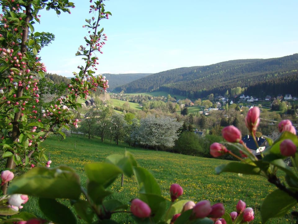 View (from property/room), Mountain view