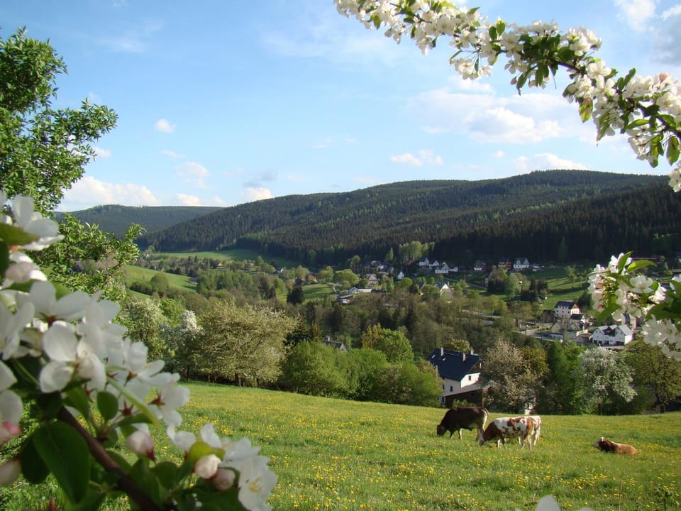 Natural landscape, Hiking, Mountain view