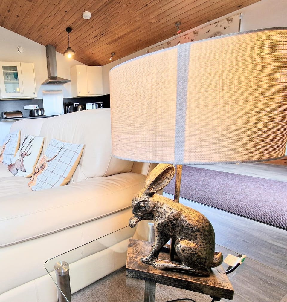 Kitchen or kitchenette, Living room, Seating area